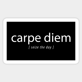 carpe diem seize the day typographic design Sticker